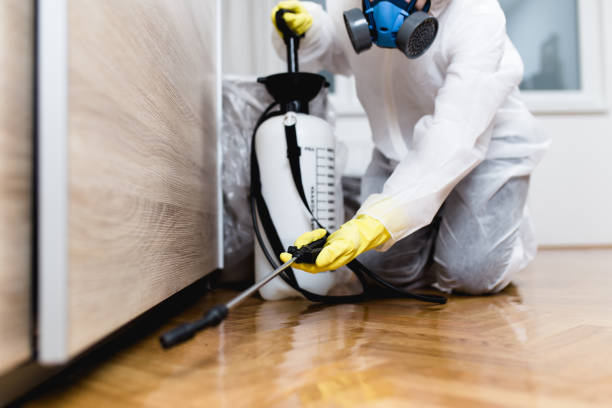  Bonner West Riverside, MT Pest Control Pros