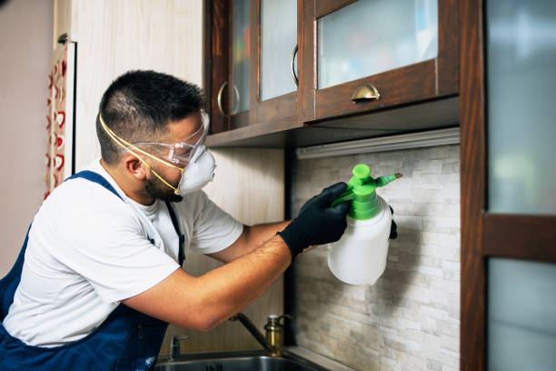 Best Commercial Pest Control Services  in Bonner West Riverside, MT