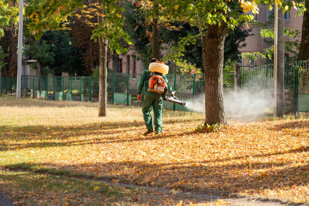 Best Commercial Pest Control Services  in Bonner West Riverside, MT